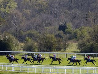 TC has three bets on Derby day at Epsom (above)